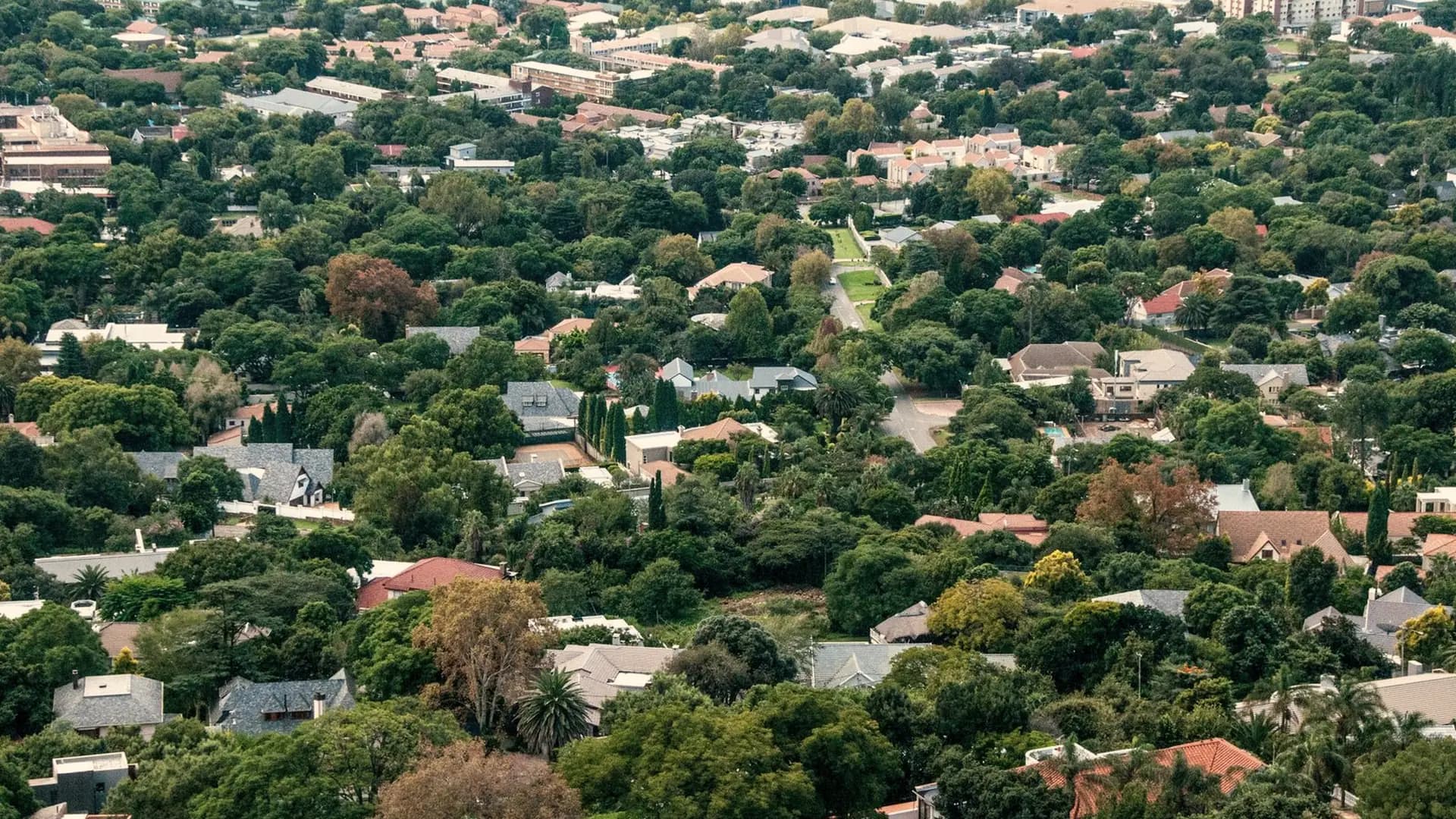 Johannesburg's northern suburbs from above, roofs hidden among thousands of trees